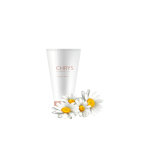 گلدان آپارتمانی بونسای جنسینگ - تصویر 3