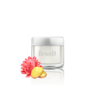 گلدان آپارتمانی کراسولا آواتا - تصویر 4