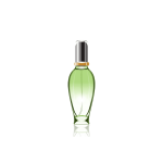 گلدان آپارتمانی بونسای جنسینگ - تصویر 4